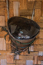 Chicken nesting basket with eggs, Chang Naga Tribe. Tuensang district. Nagaland, North East India, October 2014.