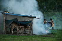 Mising tribe woman using smoke to drive away mosquitoes away from cattle, Majuli Island, Brahmaputra River, Assam,  North East India, October 2014.