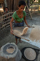Mising woman winnowing rice. Majuli Island, Brahmaputra River, Assam, North East India, October 2014.