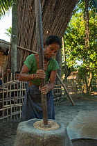 Mising woman pounding rice. Majuli Island, Brahmaputra River, Assam, North East India, October 2014.