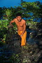 Mising man catching fish cane fish trap among Water hyacinths, Majuli Island, Brahmaputra River, Assam, North East India, October 2014.
