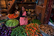 Vegetable stall in Barabazar market, Shillong. Meghalaya,  North East India. October 2014.