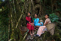Young Khasi women with baskets resting next root bridge formed of Rubber fig tree (Ficus elastica) Nongriat, Khasi Hills. Meghalaya, North East India.
