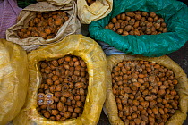 Betel nuts, from Areca palm (Areca catechu) Barabazar market, Shillong, Meghalaya, North East India. October 2014