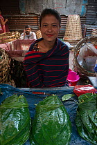 Woman selling Betel leaf (Piper betle) a mild stimulant, Barabazar market, Shillong, Meghalaya, North East India. October 2014