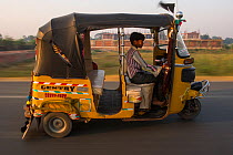 Young man driving Tuk tuk, Agra, Uttar Pradesh, India, October 2014.