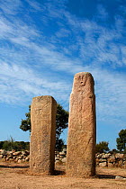 Bronze age granite standing stones or 'Menhirs' carved, c 3,500 years ago,  Cauria, Corsica island, Corsica, France