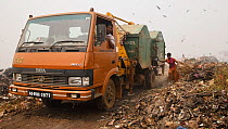 Rag-picker woman following inbound rubbish trucks at landfill site, Guwahti, Assam, India, March 2009.