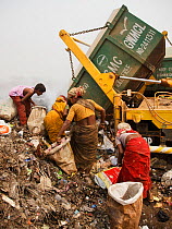Rag-picker women sorting through rubbish at landfill site, Guwahti, Assam, India, March 2009.