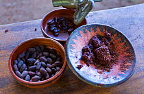 Cocoa (Theobroma cacao) production from cocoa beans. Showing cocoa beans with skin, toasted and  ground cocoa paste, Puerto Jimenez, The Osa Peninsula, Puntarenas Province,  Costa Rica.