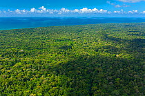 Aerial view of Corcovado National Park, Osa Peninsula, Puntarenas Province, Costa Rica. December 2014.