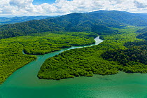 Aerial view of Delta Sierpe River Terraba, Corcovado National Park, Osa Peninsula, Puntarenas Province, Costa Rica. December 2014.