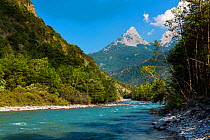 River running through Ubaye Valley / Valle de l'Ubaye, Alpes Haute Provence, France, July 2015.