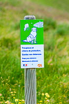 Sign warning people of dogs guarding sheep,  Col de la Cayolle, Ubaye Valley / Valle de l'Ubaye, Alpes Haute Provence, Provence, France, July.