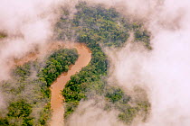 Aerial view of Amazon Rainforest, and the  Manati River, Peru, July 2015.