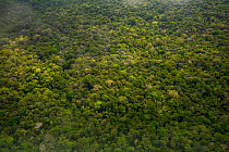 Aerial view of Amazon Rainforest, Peru, July 2015.