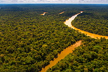 Aerial view of  Yavari-Mirin River and oxbow lake and Amazon Rainforest, Peru, July.