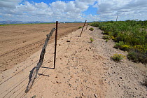 Desert near San Simon, recently prepared for cultivation, Arizona, USA. September 2013.