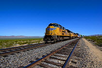 Freight train driving along Union Pacific Railroad, Mohave National Preserve, California, October 2013.