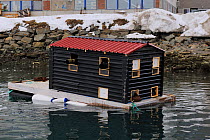 Floating photo hide, Batsfjord village harbour, Varanger Peninsula, Norway, March.