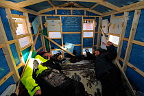 tourists in floating photo hide, Batsfjord village harbour, Varanger Peninsula, Norway, March 2012.