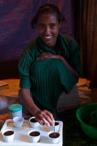 Amhara girl preparing coffee with the traditional method. Jimba, Bahir Dar. Lake Tana Biosphere Reserve, Ethiopia. December 2013.