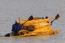 Nile grass boats, carrying other boats and supplies. Lake Tana Biosphere Reserve, Ethiopia. December 2013.