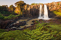 Tisisat Falls / Blue Nile Falls along the Blue Nile, south of Bahir Dar, Lake Tana Biosphere Reserve, Ethiopia. December 2013.