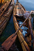 Traditional Nile grass boat with catch of fish. Bahir Dar, Lake Tana Biosphere Reserve, Ethiopia. December 2013.