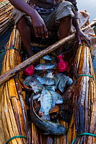 Fisherman returning with his catch to Bahir Dar, Lake Tana Biosphere Reserve, Ethiopia. December 2013.