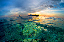Dive boat, MY Atlantis Azores,  and tender over a coral reef at sunset. Tubbataha reef, Palawan, Philippines. Sulu Sea.