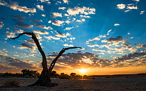 Sunrise landscape in Sossusvlei, Namibia, July 2014.