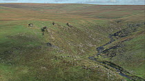 Aerial view tracking over the Tavy Cleave, Dartmoor National Park, Devon, England, UK, October 2015.
