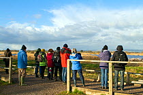 Bird watchers scanning reedbeds at RSPB Ham Wall Reserve. Formed from abandoned peat diggings and part of the Avalon Marshes wildlife complex on the Somerset Levels, Somerset, UK, February 2015.