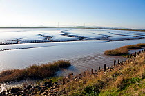 Tidal mudflats exposed on the banks of the River Parrett  where it flows into the  Bristol Channel. Taken from Steart Peninsula, Somerset, UK, December 2014.