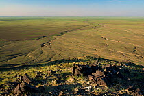Khavtsgait Petroglyphs Mountain,Gobi desert, Govi Gurvan Saikhan National Park, Umnugovi province, South Mongolia.