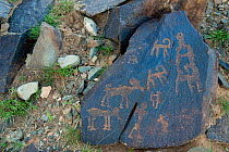 Animal petroglyphs between 5,000-15,000 years old years ago,  Khavtsgait Petroglyph Mountain, Gobi desert, Govi Gurvan Saikhan National Park, South Mongolia. June 2015.