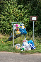 Illegal dumping of household refuse bags in net along roadside meant for throwing in cans and plastic bottles, Belgium, August.