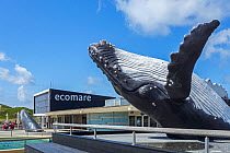 Humpback whale (Megaptera novaeangliae) sculpture at Ecomare Centre for Nature and Marine life on Texel, The Netherlands, May 2015.