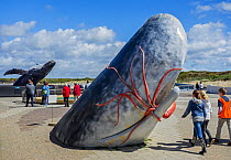 Sculpture of sperm whale (Physeter macrocephalus) eating squid at Ecomare Centre for Nature and Marine Life, Texel, The Netherlands, May 2015