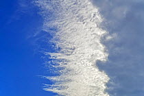 Nimbostratus cloud covering cirrocumulus / altocumulus and blue sky