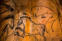 Replica of prehistoric rock paintings of the Chauvet Cave, Chauvet-Pont-d'Arc Cave, Ardeche, Franc. Showing extinct animals, wild horses and cave lions Editorial use only.
