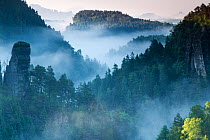 Morning mist over forest and sandstone rock formations, Sachsische Schweiz / Saxon Switzerland National Park, Germany, June 2010