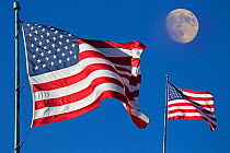Two flags of the United States of America in the wind with the moon in the background. Digital composite.