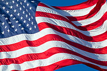 Stars and stripes national flag of the United States of America blowing  in the wind.