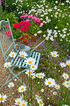 Garden chair with watering can surrounded by flowers.