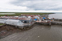 Old cannery for salmon,  Naknek, Bristol Bay, Alaska, USA, July 2015.