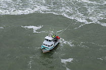 Fishing boat fishing for Sockeye salmon (Oncorhynchus nerka) using drift gill nets. Naknek River, Bristol Bay, Alaska, USA, July.