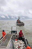 The MegJ preparing to drop drift gill net to catch Sockeye salmon (Oncorhynchus nerka) Naknek River, Bristol Bay, Alaska, USA, June 2015.