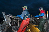 Fishermen haul in set gill net whilst fishing forSockeye salmon (Oncorhynchus nerka) at night, Graveyard Point, Bristol Bay, Alaska, USA, July 2015. Model released.